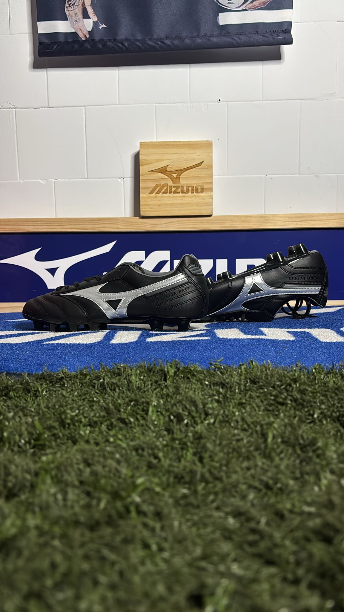MORELIA II PRO